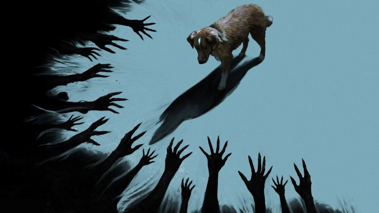 Chó Cưng Đừng Sợ