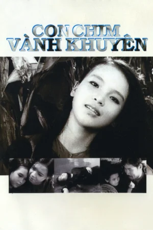 Con Chim Vành Khuyên